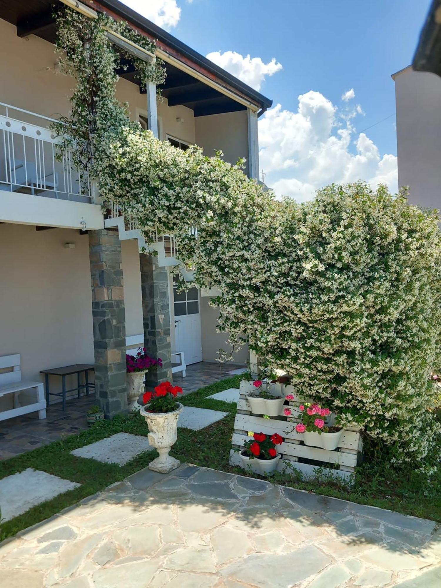 Nili Hotel Vlora Kültér fotó