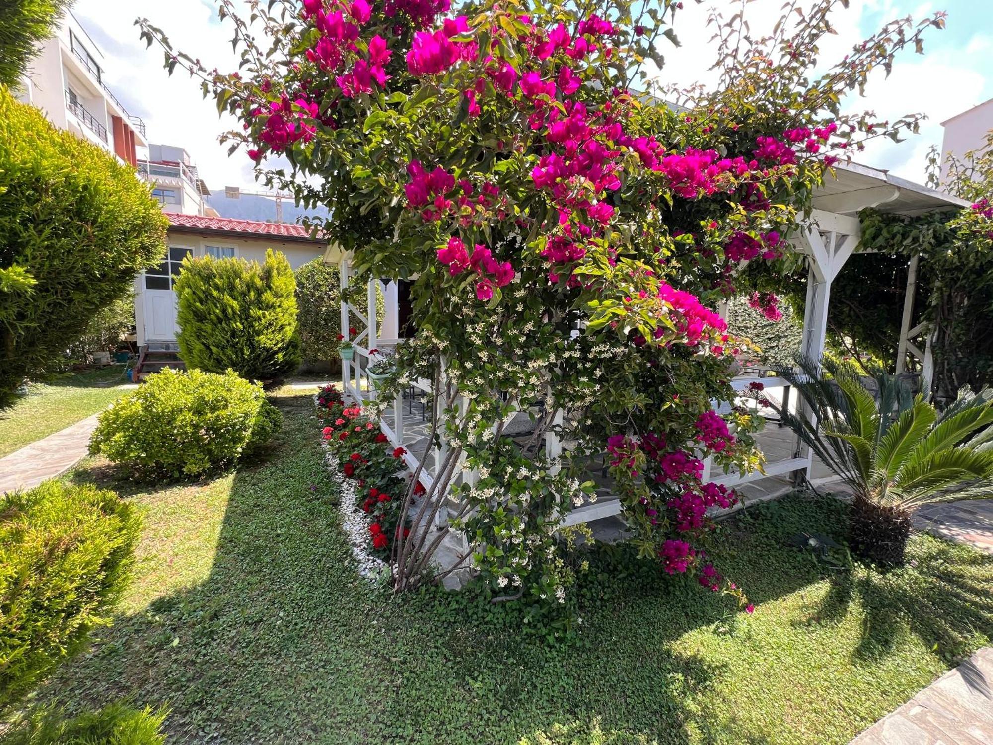 Nili Hotel Vlora Kültér fotó